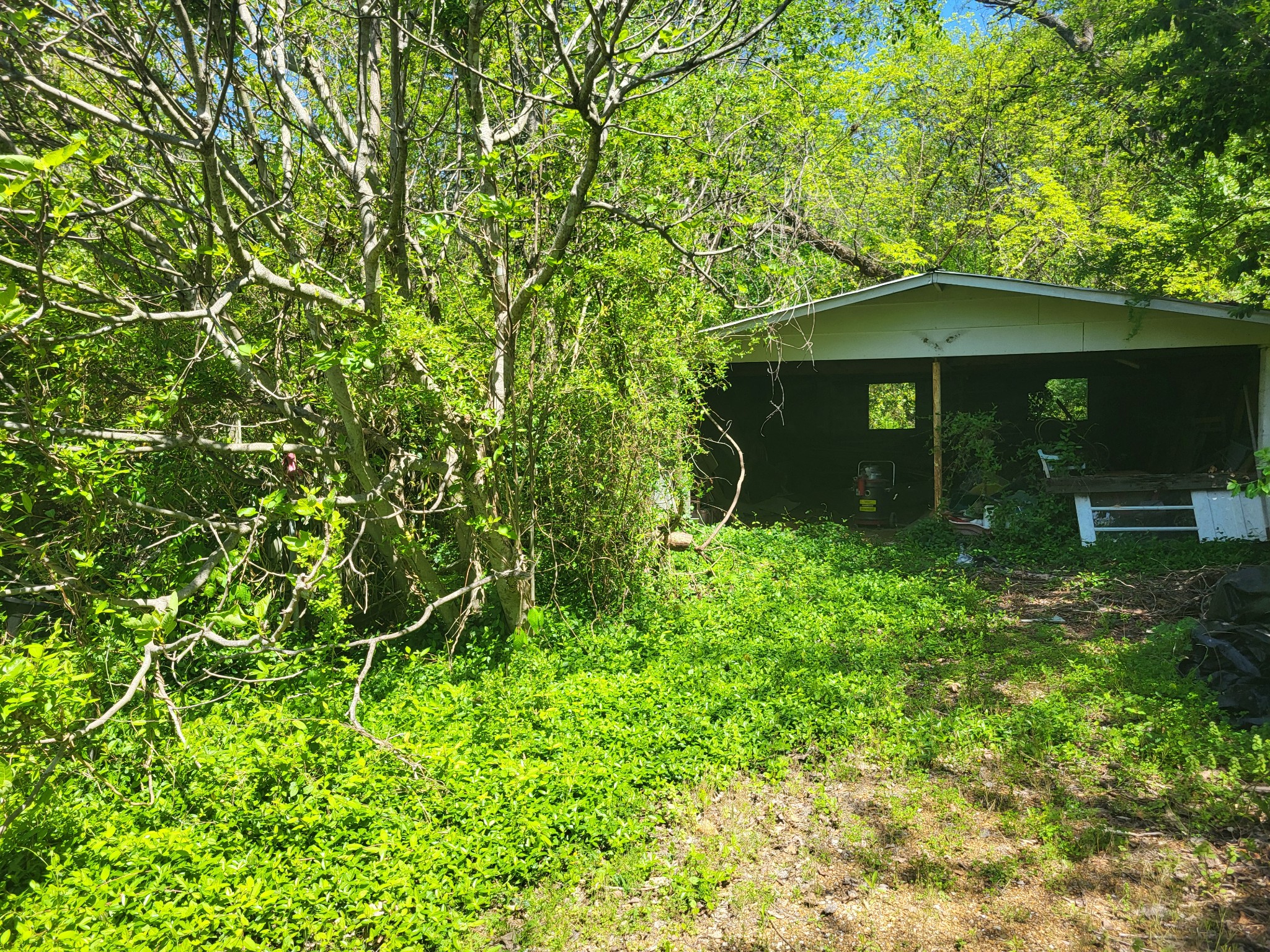 2419 Maple St Property Photo 26