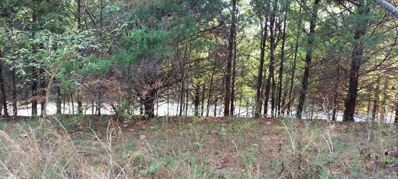0 Emily Lane Property Photo