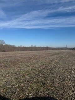 2222 Oak Knob Road Property Photo 5