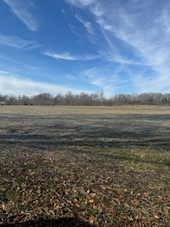 2222 Oak Knob Road Property Photo 11