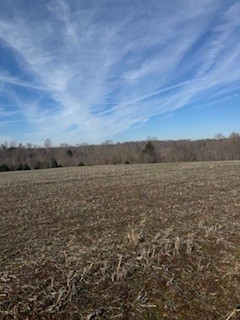 2222 Oak Knob Road Property Photo 13