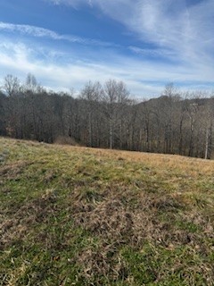 2222 Oak Knob Road Property Photo 14