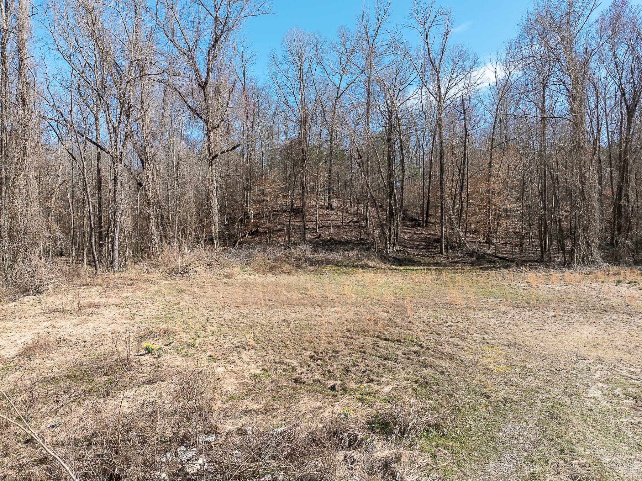 0 Hwy 70 Property Photo 3