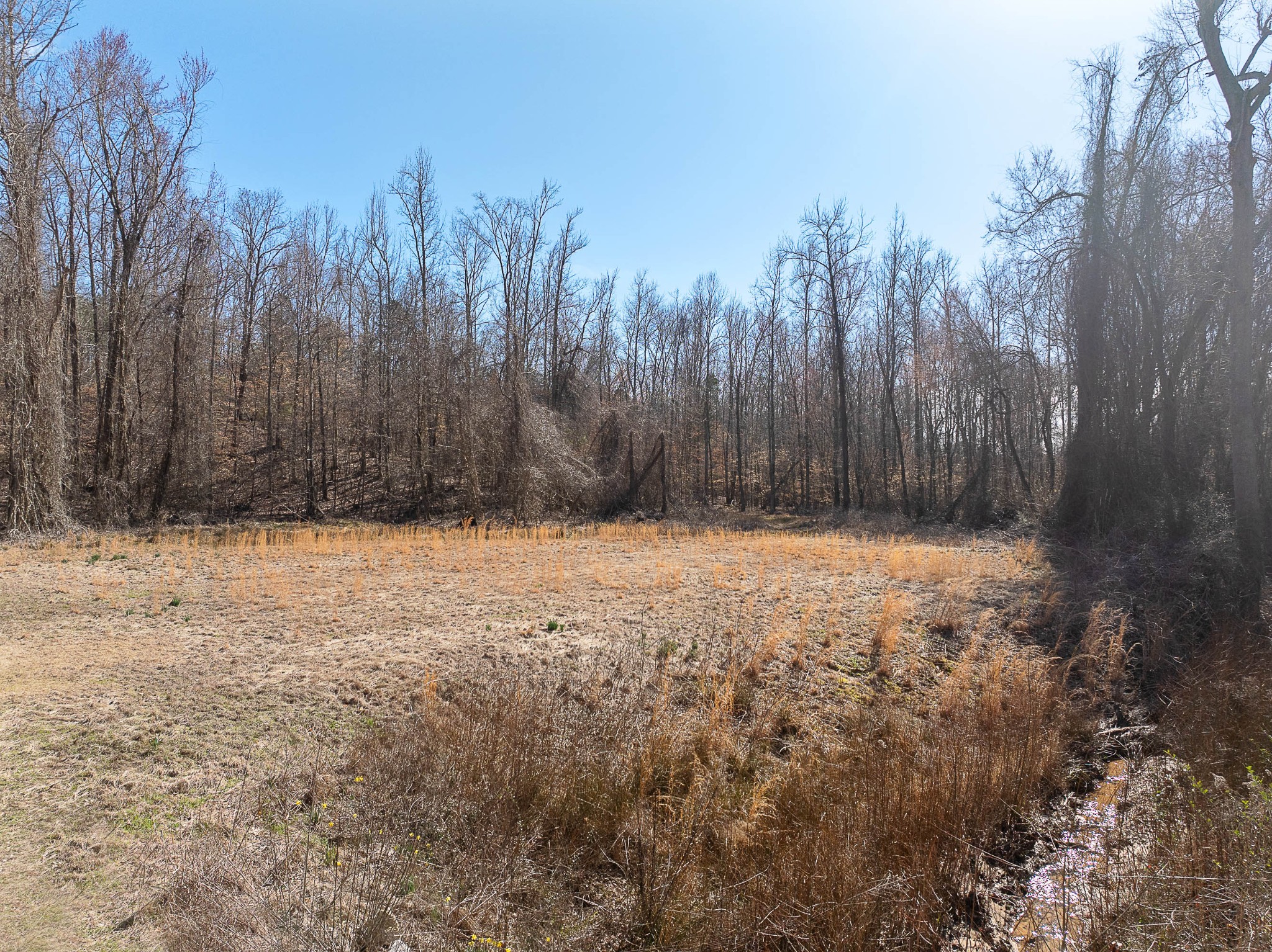 0 Hwy 70 Property Photo 4