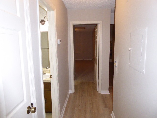 3724 Colonial Heritage Dr Property Photo 20