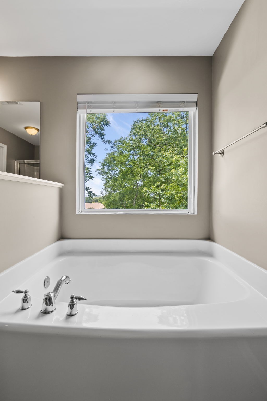 4738 Jobe Trl Property Photo 31