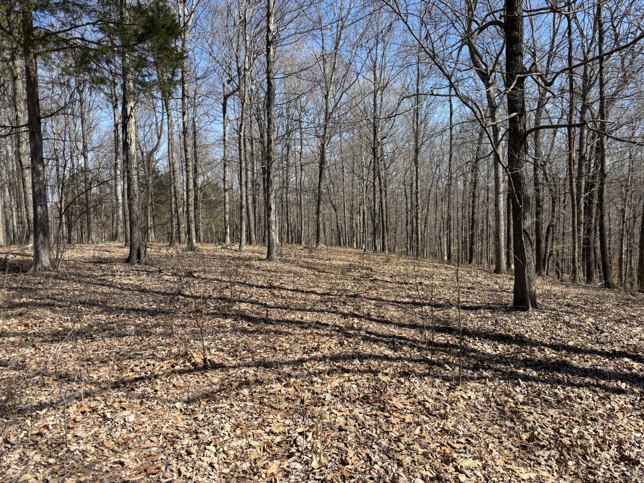 1475 Holland Rd Property Photo 1