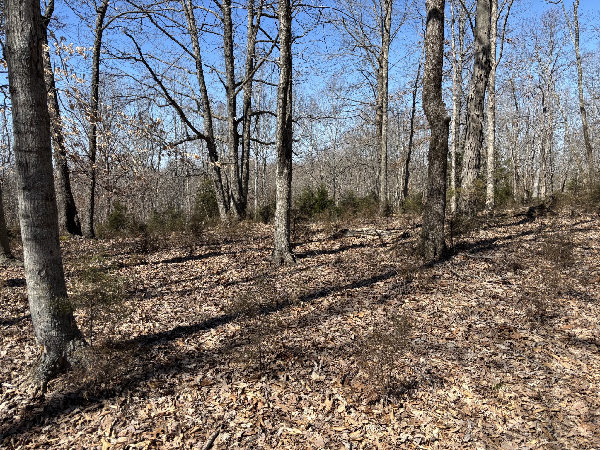1475 Holland Rd Property Photo 2