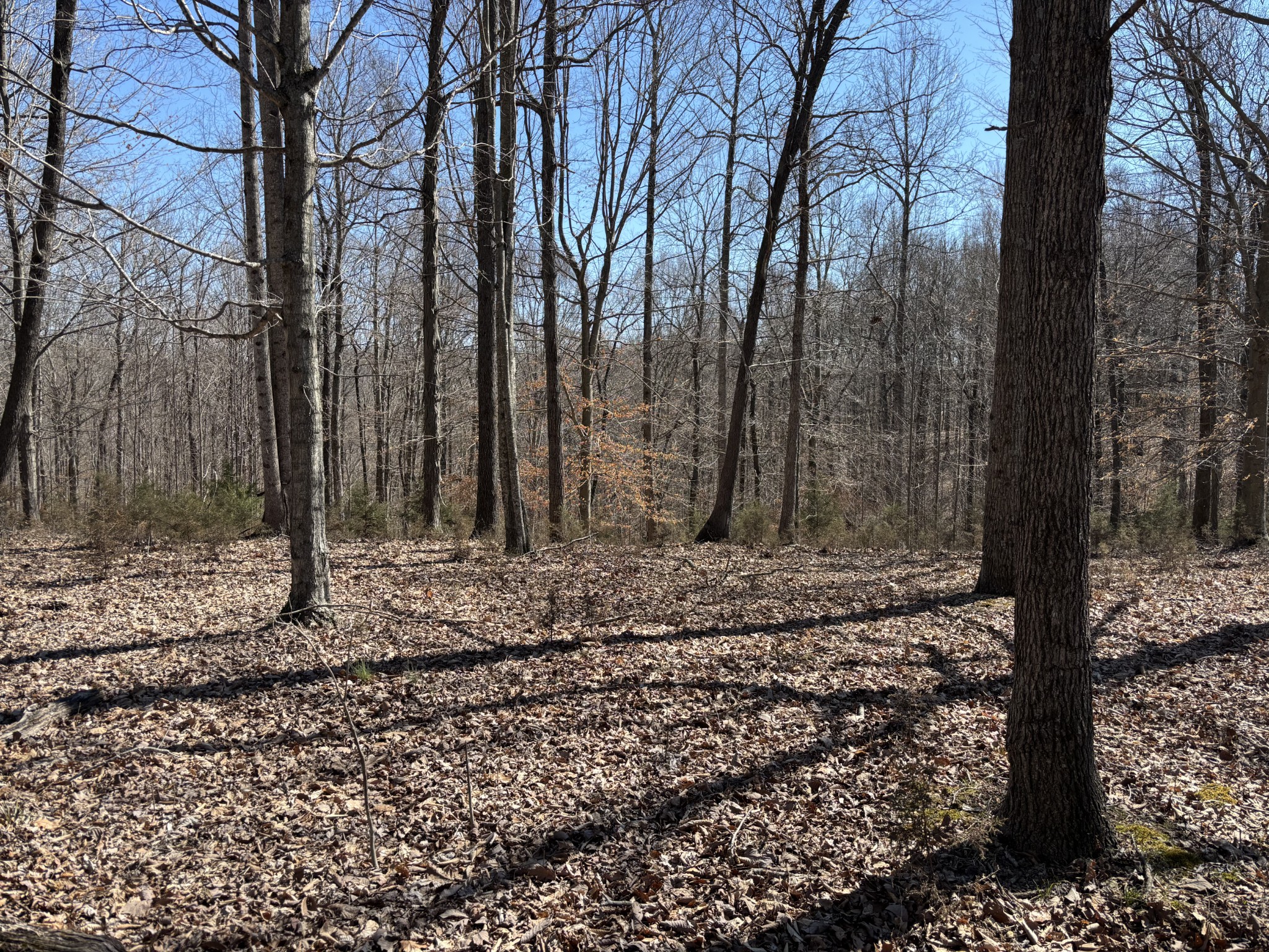 1475 Holland Rd Property Photo 3