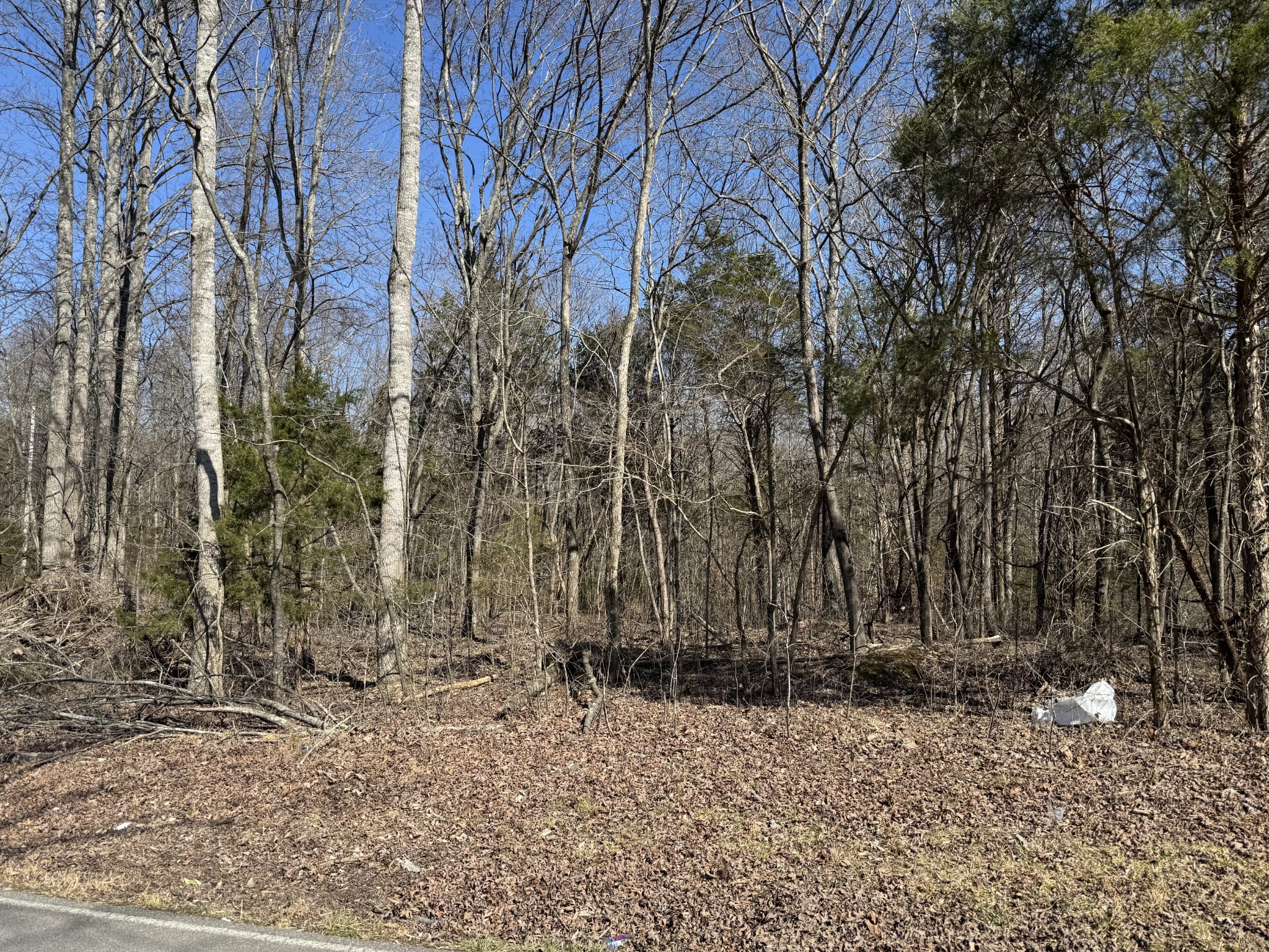 1475 Holland Rd Property Photo 8