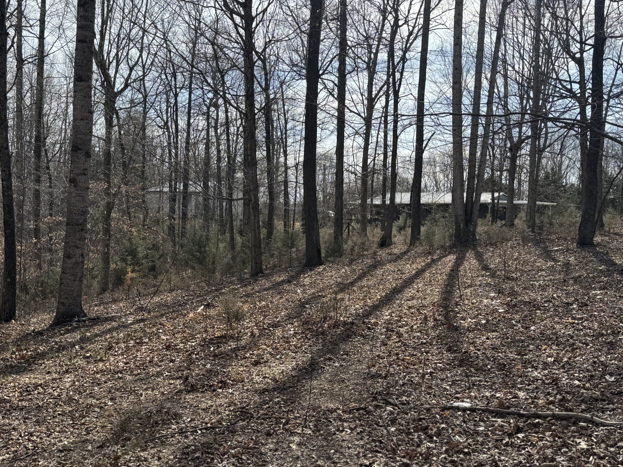 1475 Holland Rd Property Photo 11