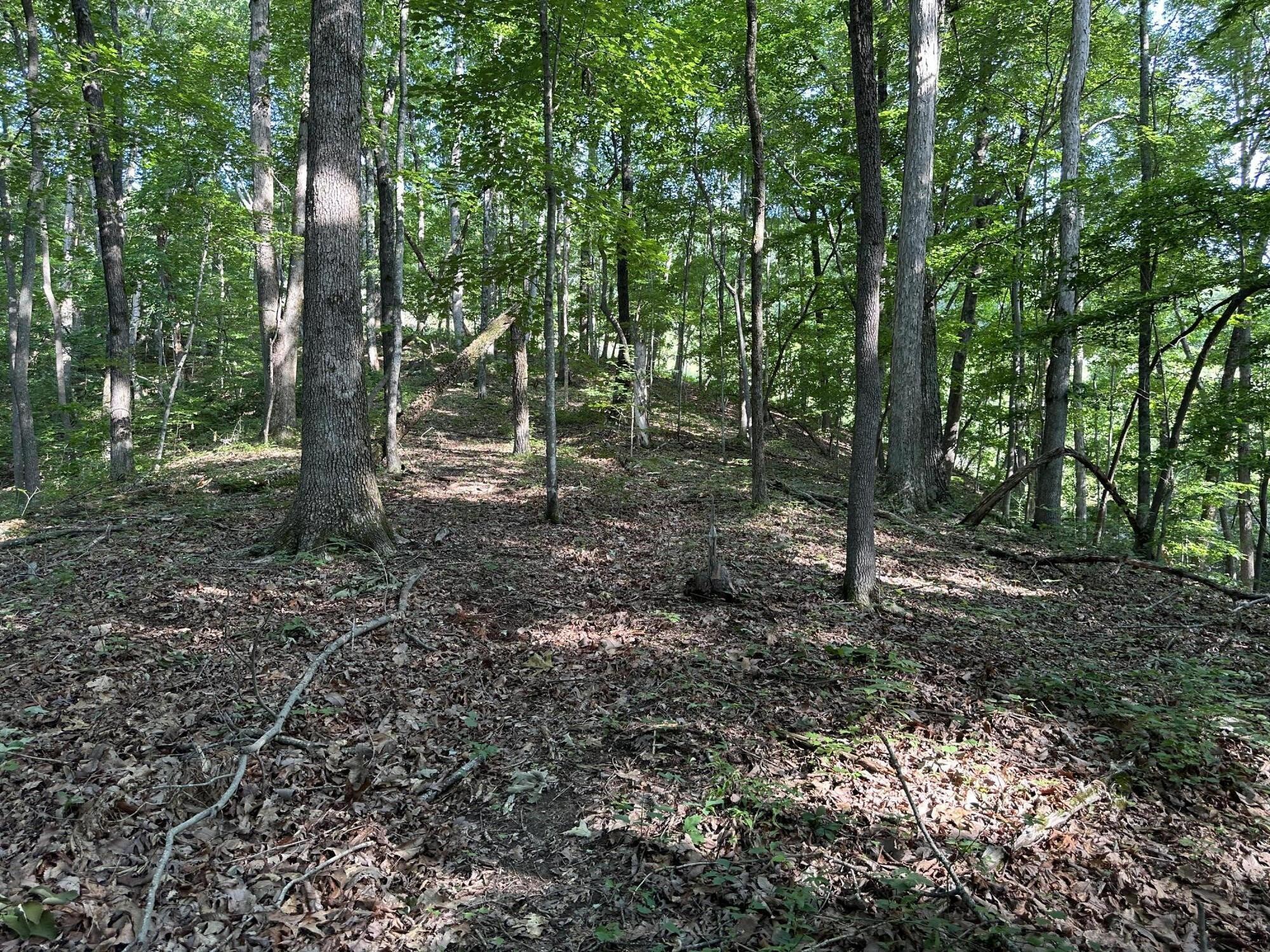 3692 Pan Gap Circle Property Photo 7