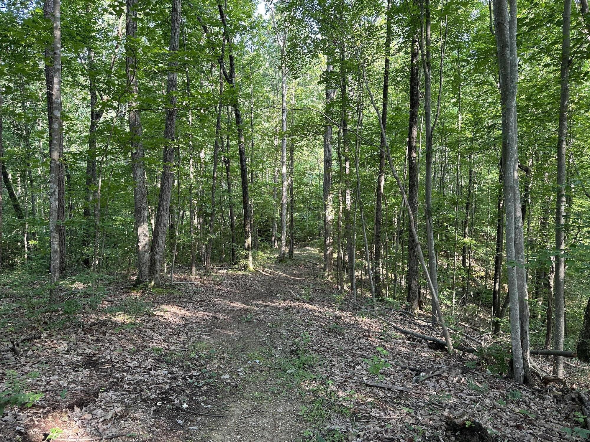 3692 Pan Gap Circle Property Photo 8