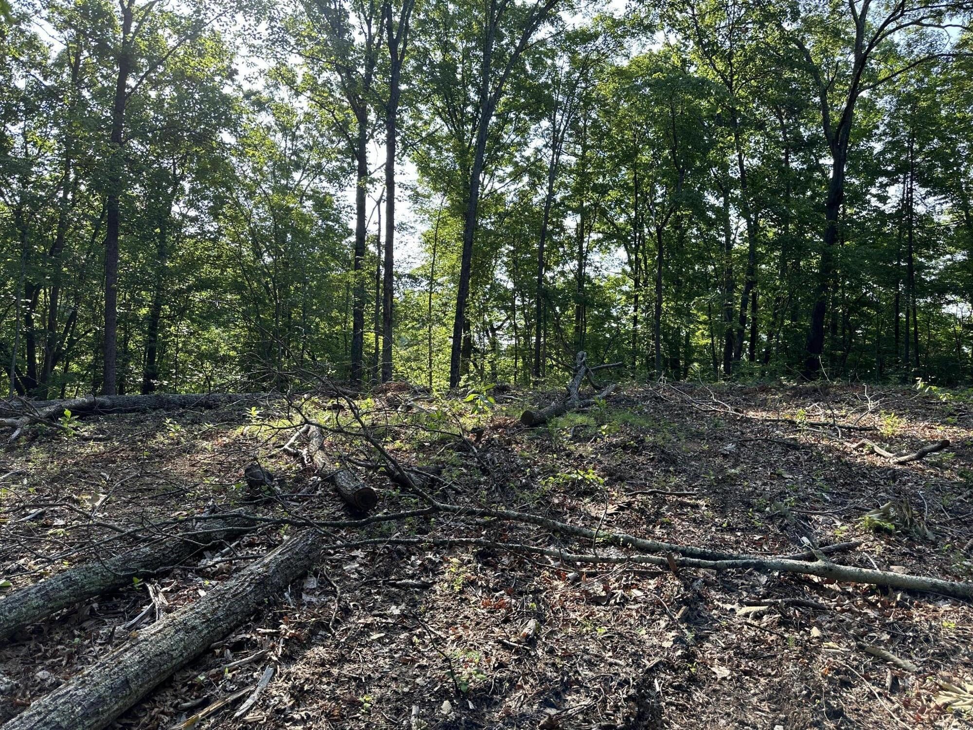 3692 Pan Gap Circle Property Photo 9