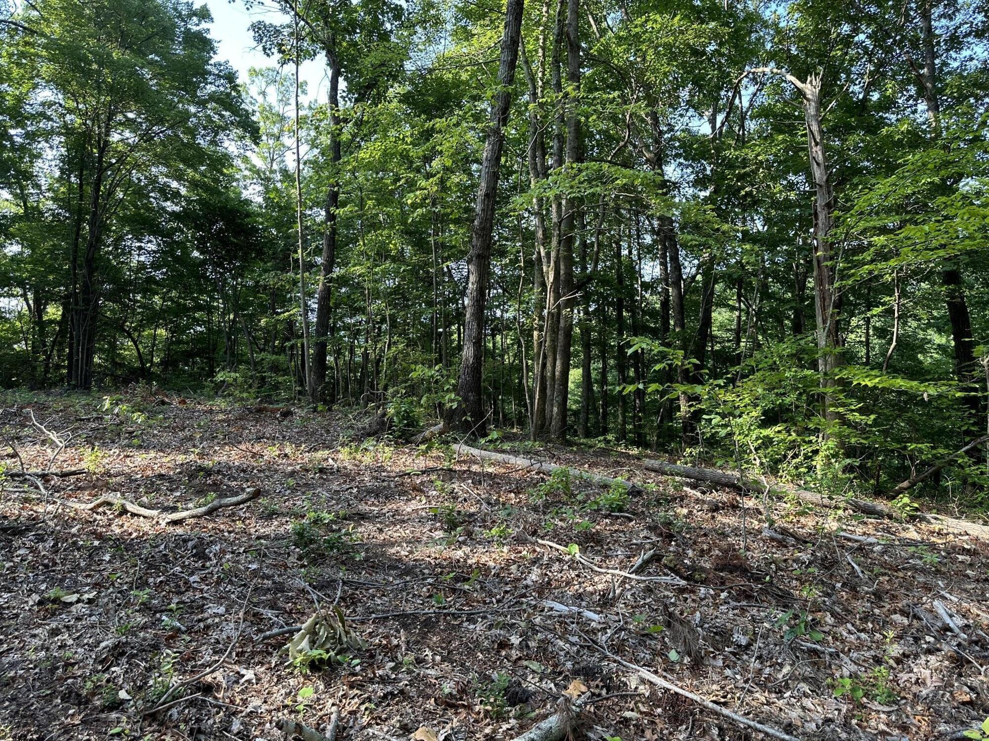 3692 Pan Gap Circle Property Photo 11