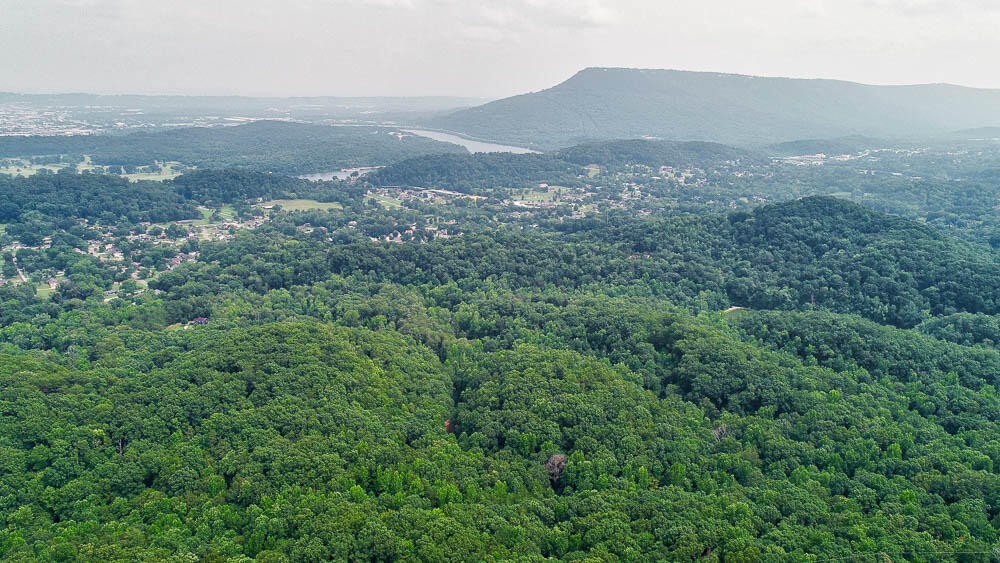 3692 Pan Gap Circle Property Photo 13