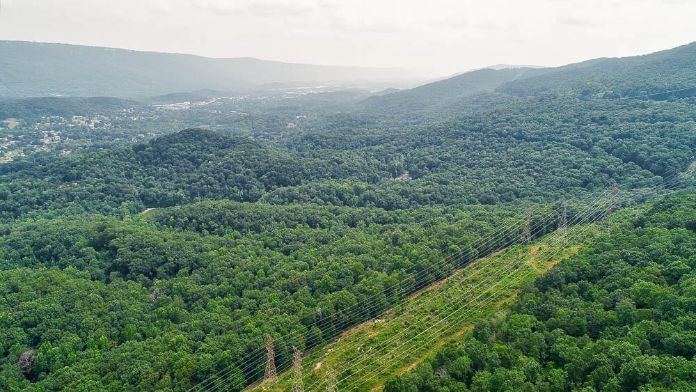 3692 Pan Gap Circle Property Photo 14