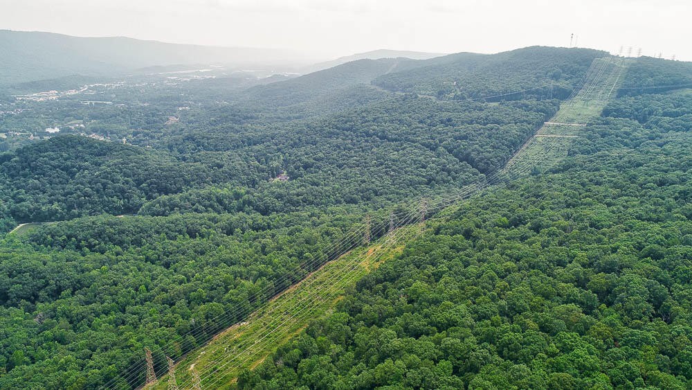 3692 Pan Gap Circle Property Photo 16