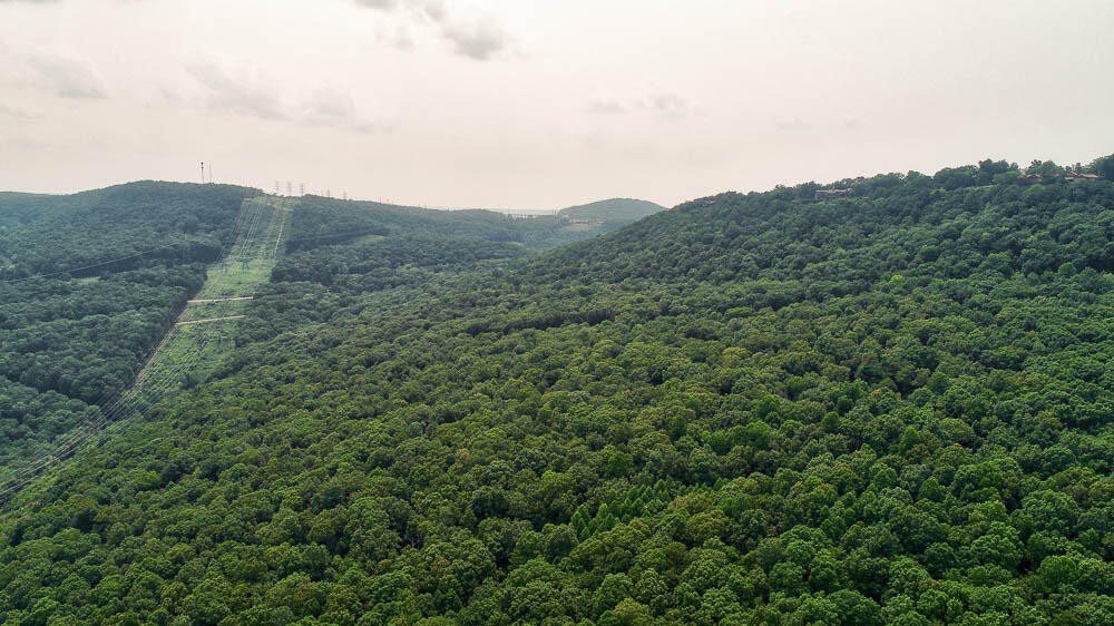 3692 Pan Gap Circle Property Photo 17