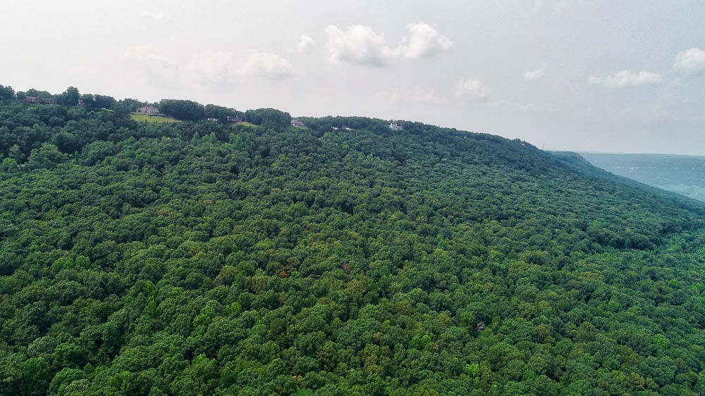 3692 Pan Gap Circle Property Photo 19