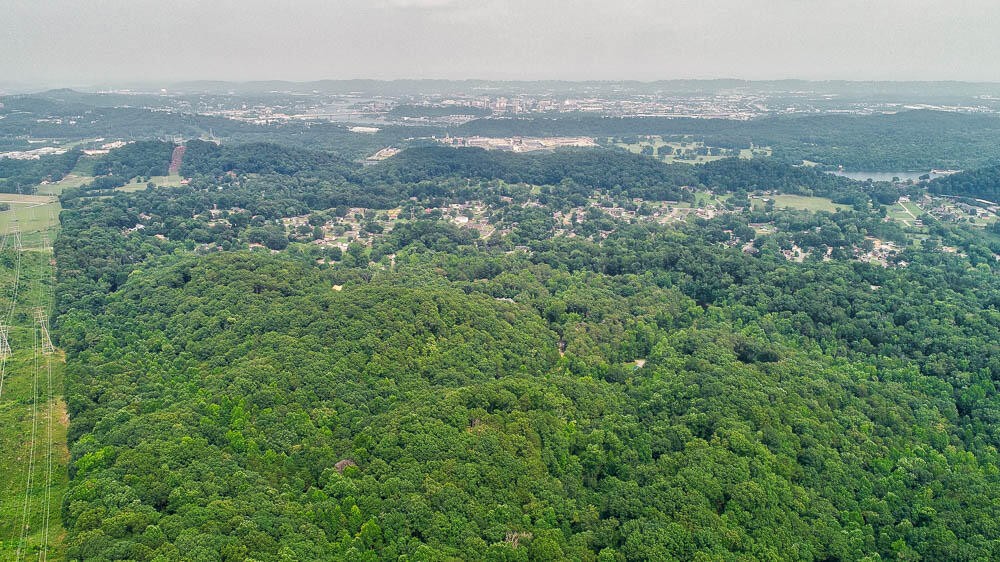 3692 Pan Gap Circle Property Photo 25