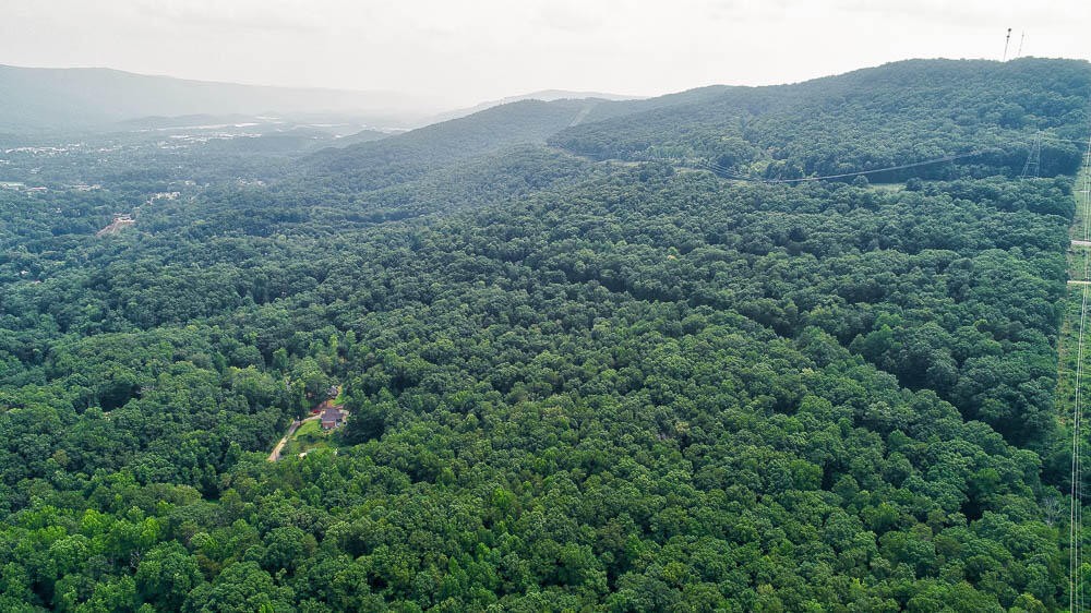 3692 Pan Gap Circle Property Photo 28