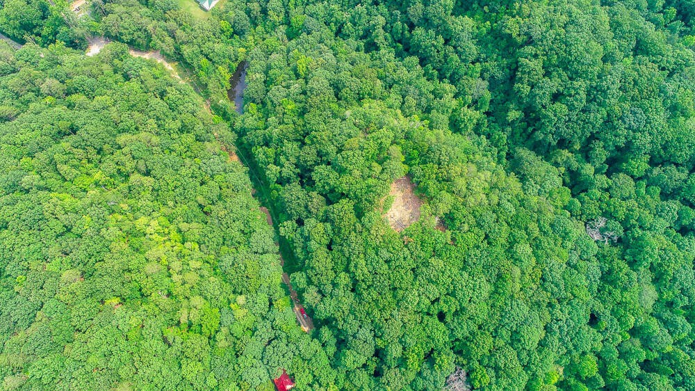 3692 Pan Gap Circle Property Photo 32