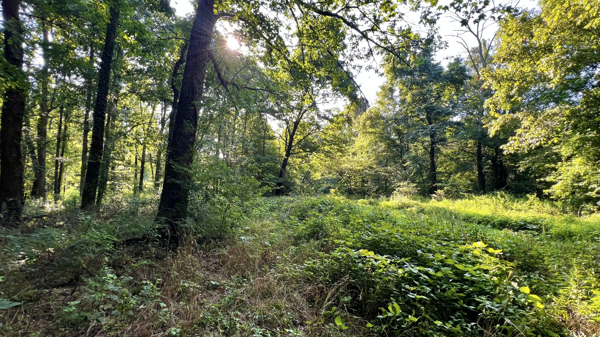 0 Union Ridge Rd Property Photo 12