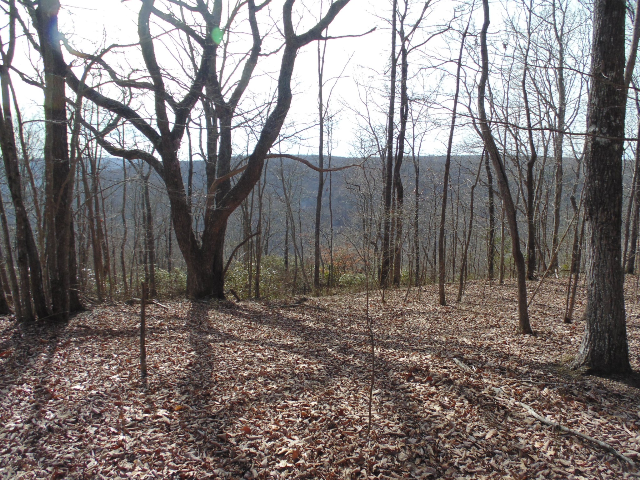 0 Nancy Wynn Rd Property Photo