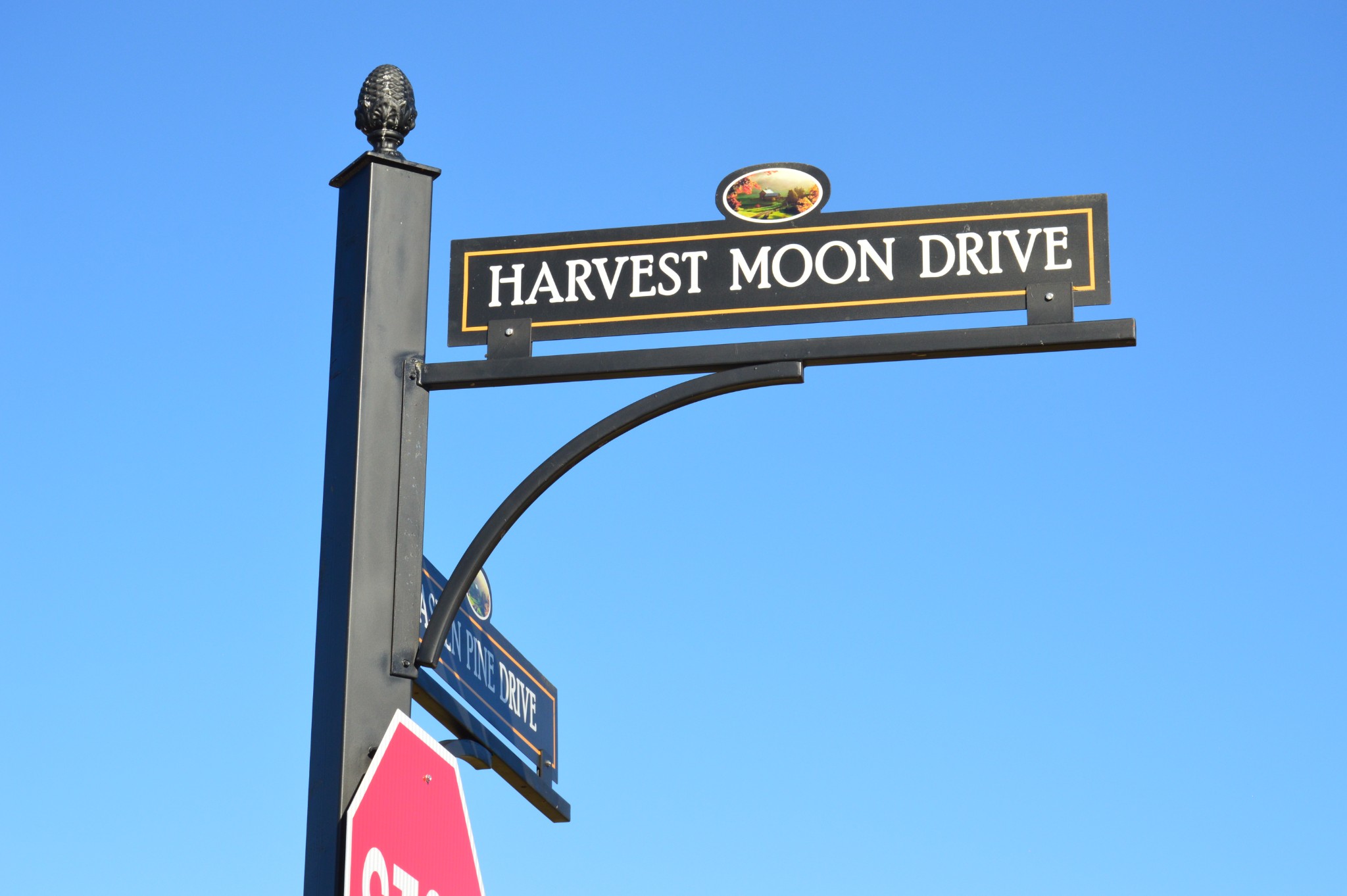 279 Harvest Moon Court Property Photo 2
