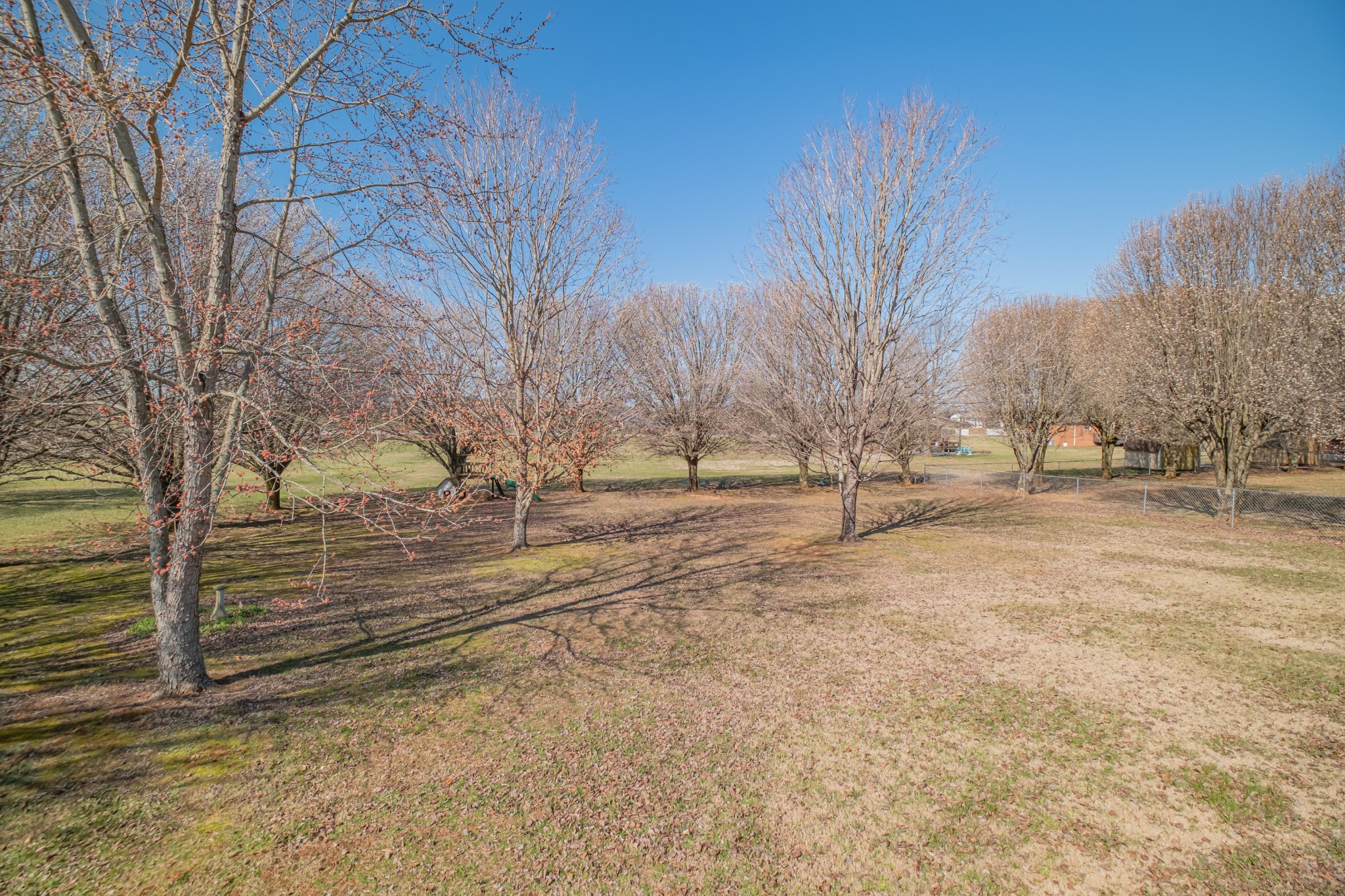 145 Susie Dr Property Photo 44