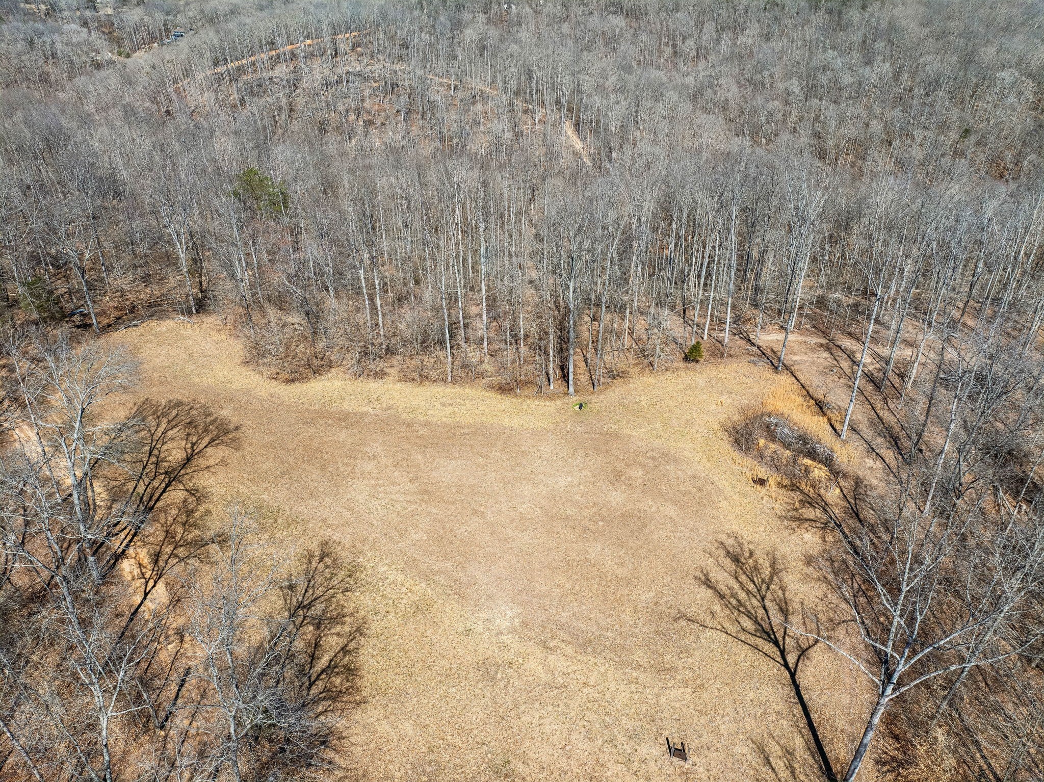 1273 Craggie Hope Rd Property Photo 48
