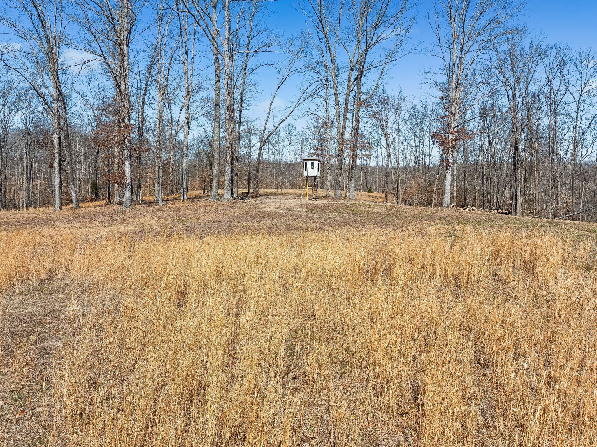 1273 Craggie Hope Rd Property Photo 51