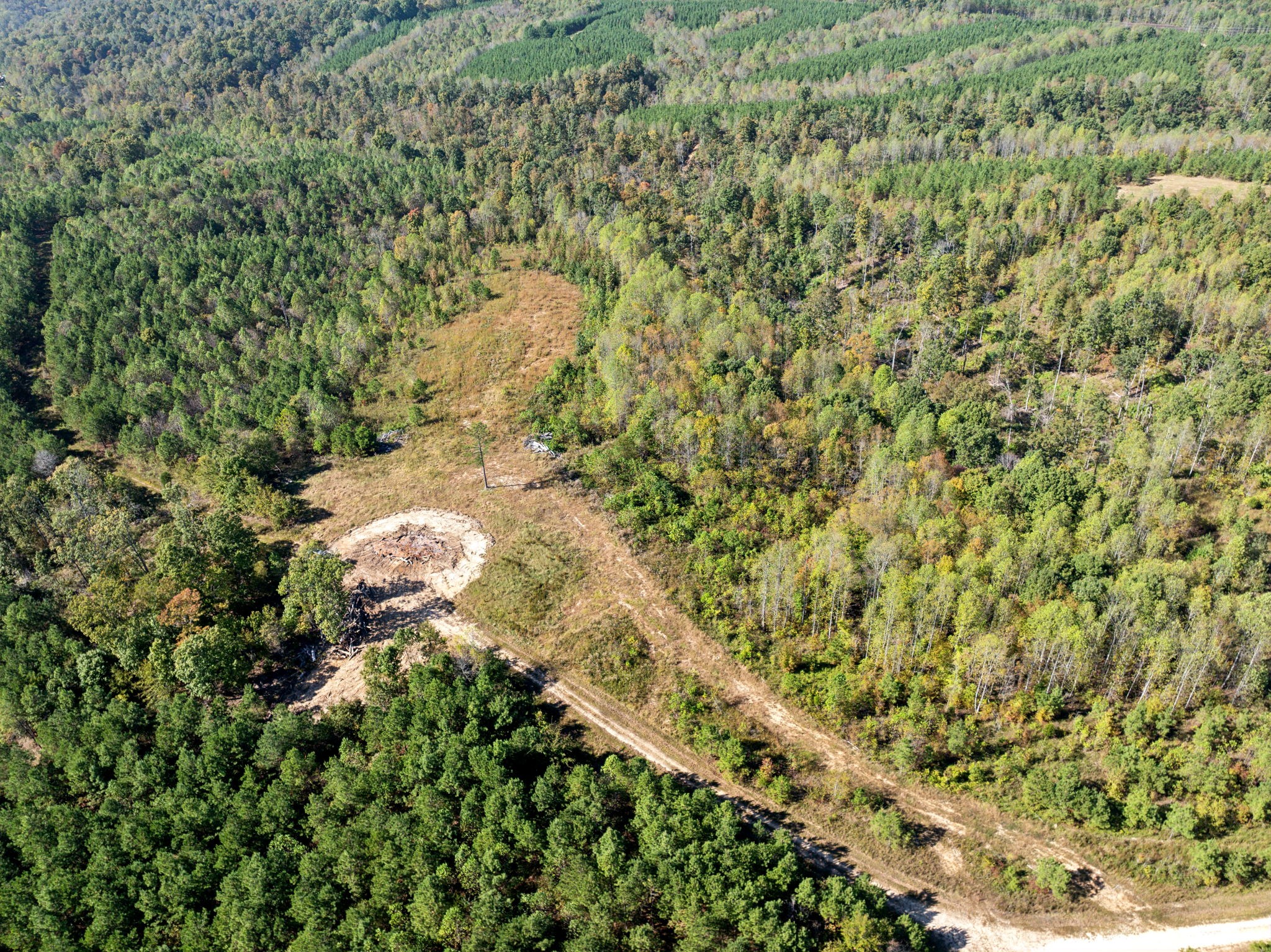 0 Cox Hollow Rd Lot 15 Property Photo 3