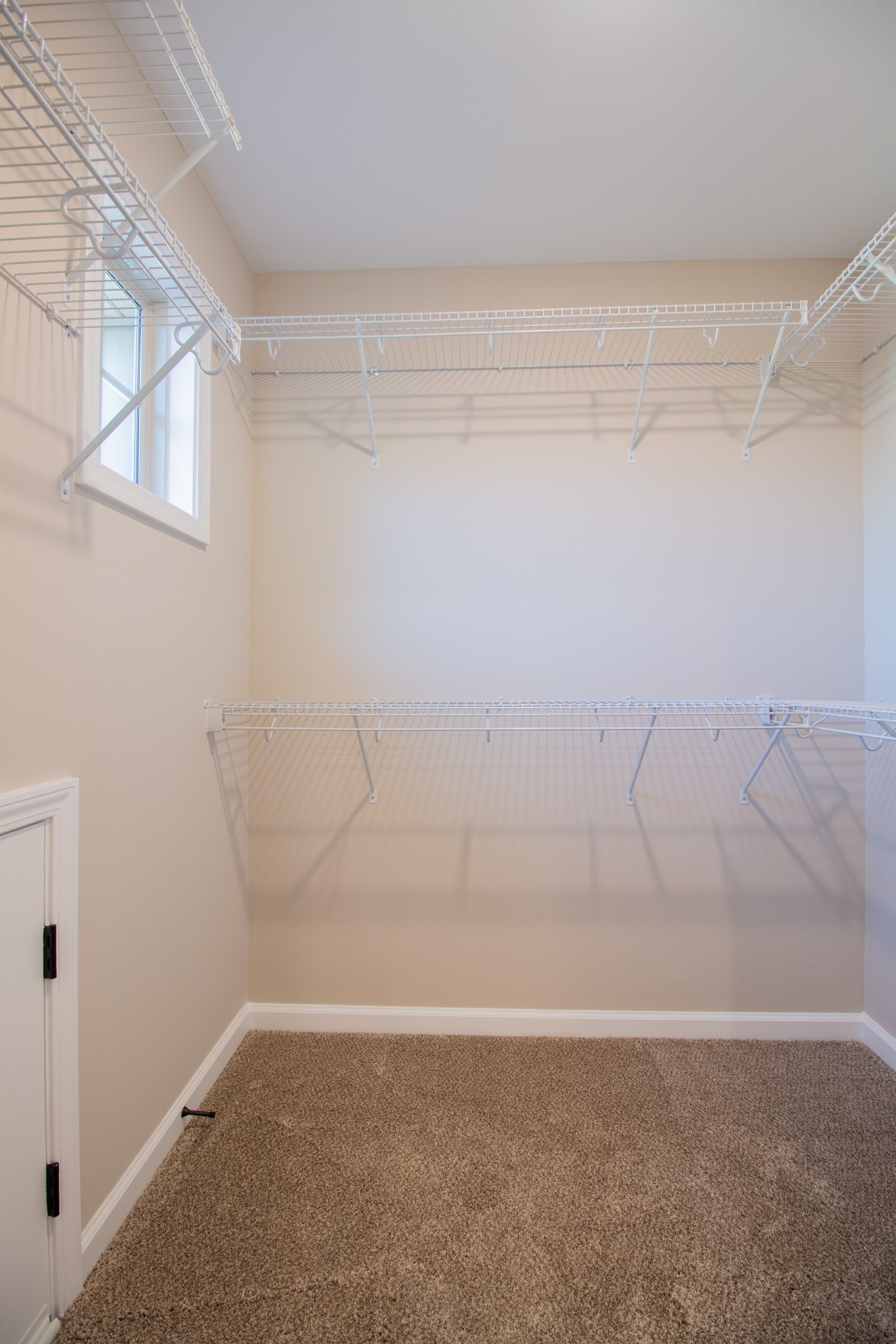 356 Timber Springs Property Photo 20
