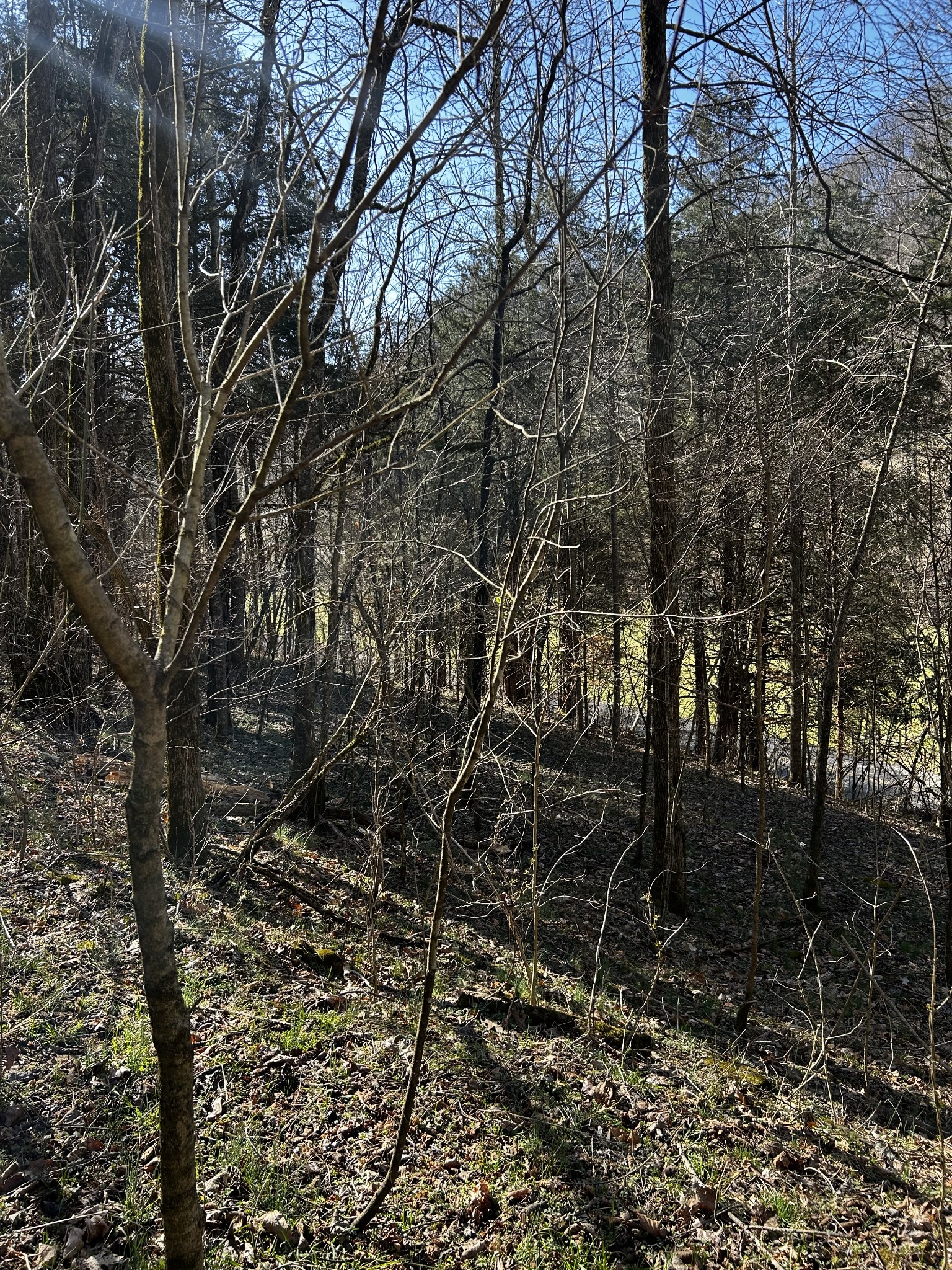 0 Sycamore Valley Rd Property Photo 2