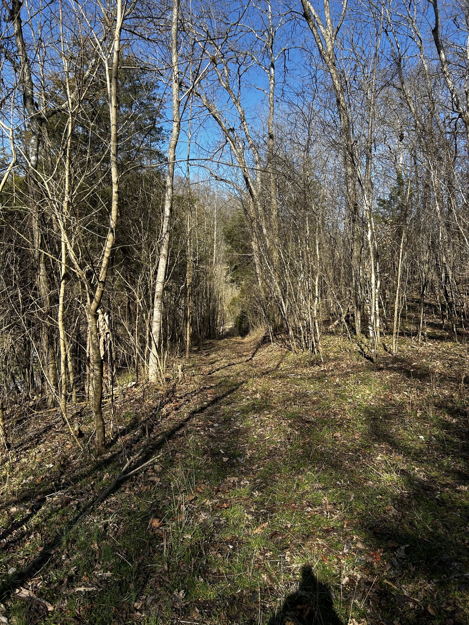0 Sycamore Valley Rd Property Photo 5