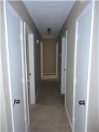 220 Mark Spitz Dr Property Photo 6