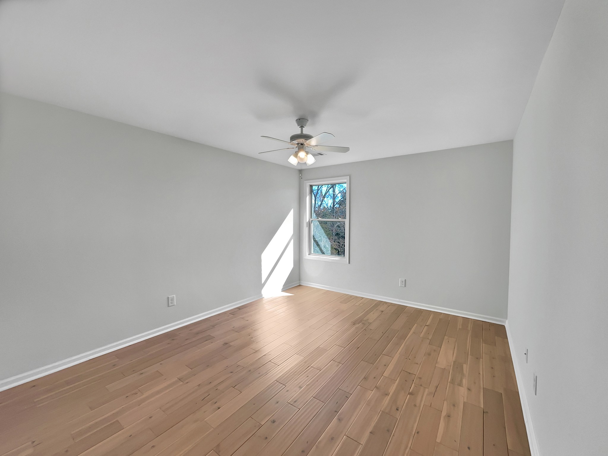 117 Holywell Ct Property Photo 31