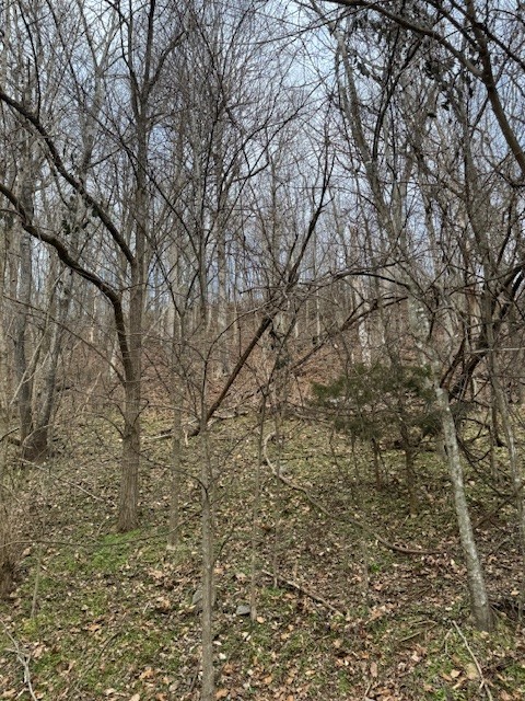 0 Blackberry Ridge Way Property Photo 1