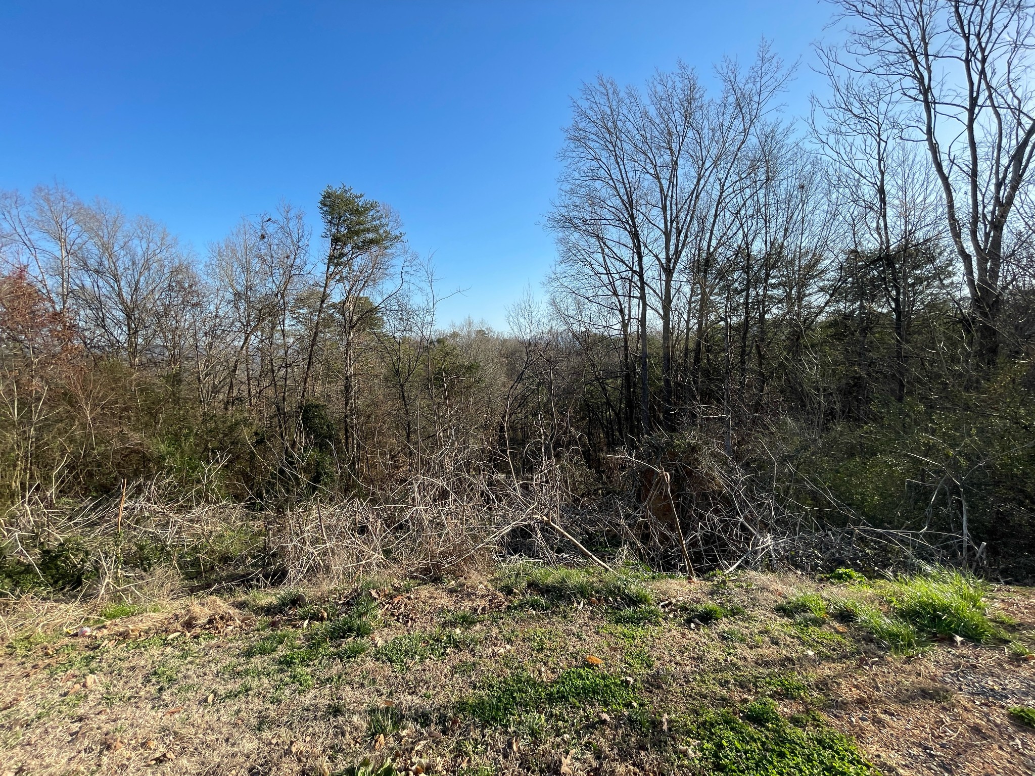 359 Knoll Dr Property Photo 1