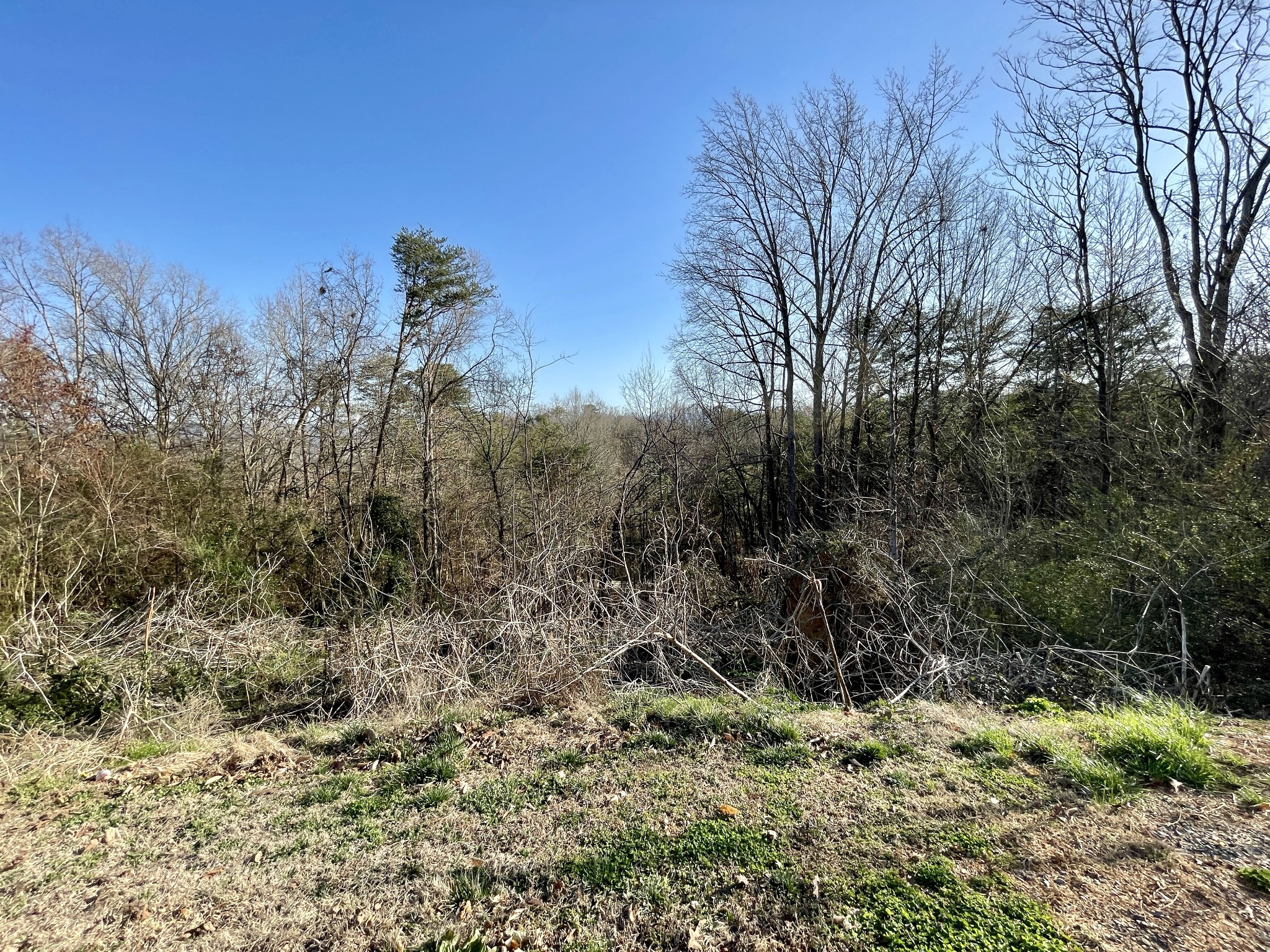 359 Knoll Dr Property Photo 2