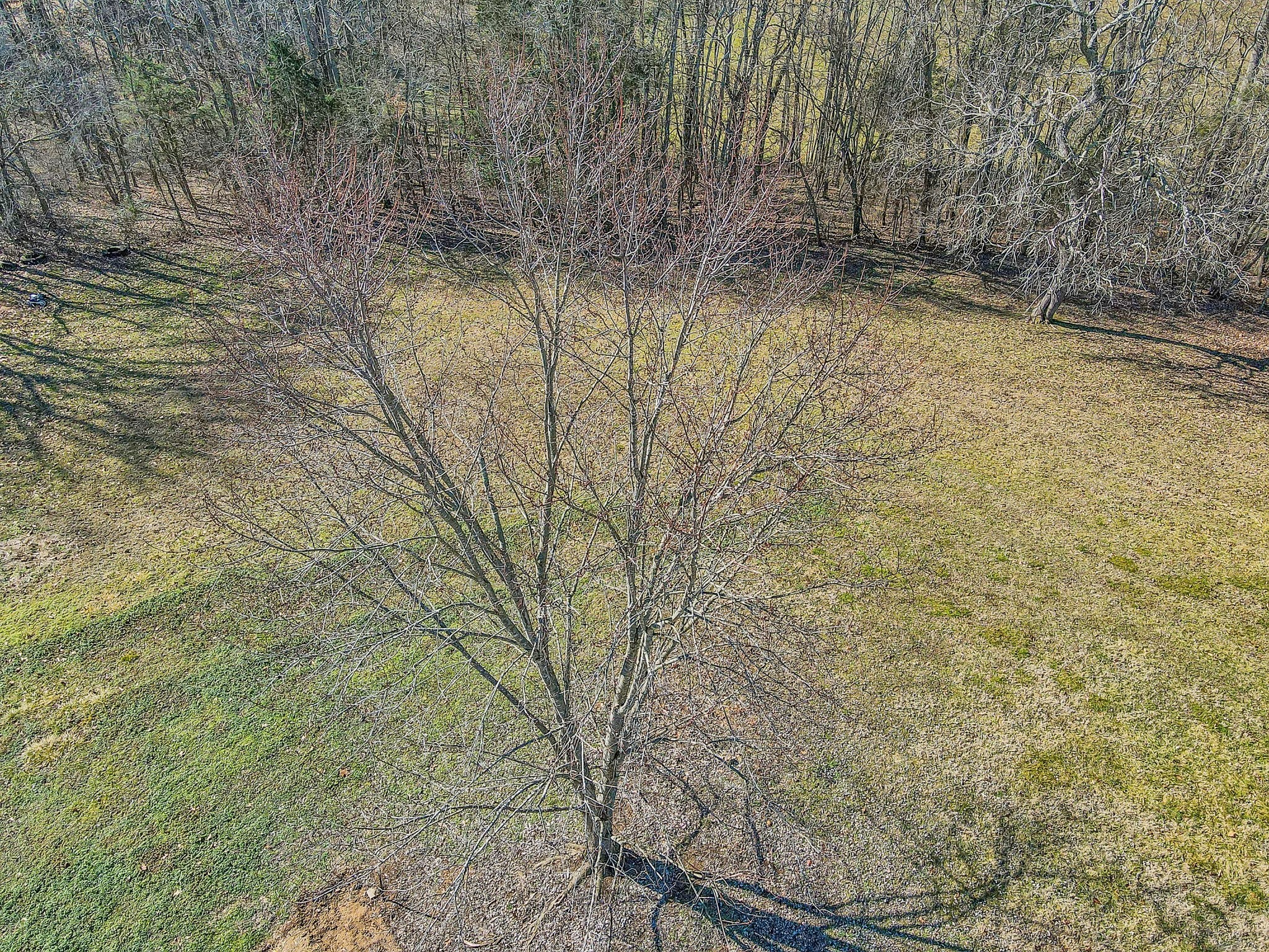 1888 New Lewisburg Hwy Property Photo 14