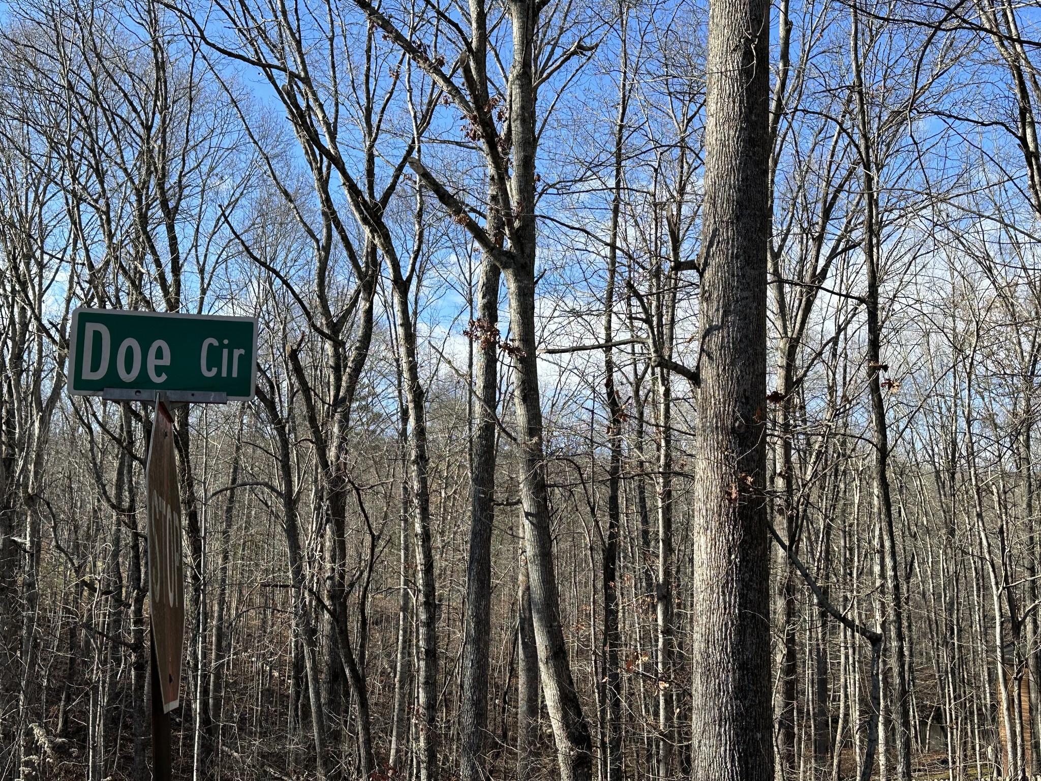 0 Doe Circle Property Photo 1
