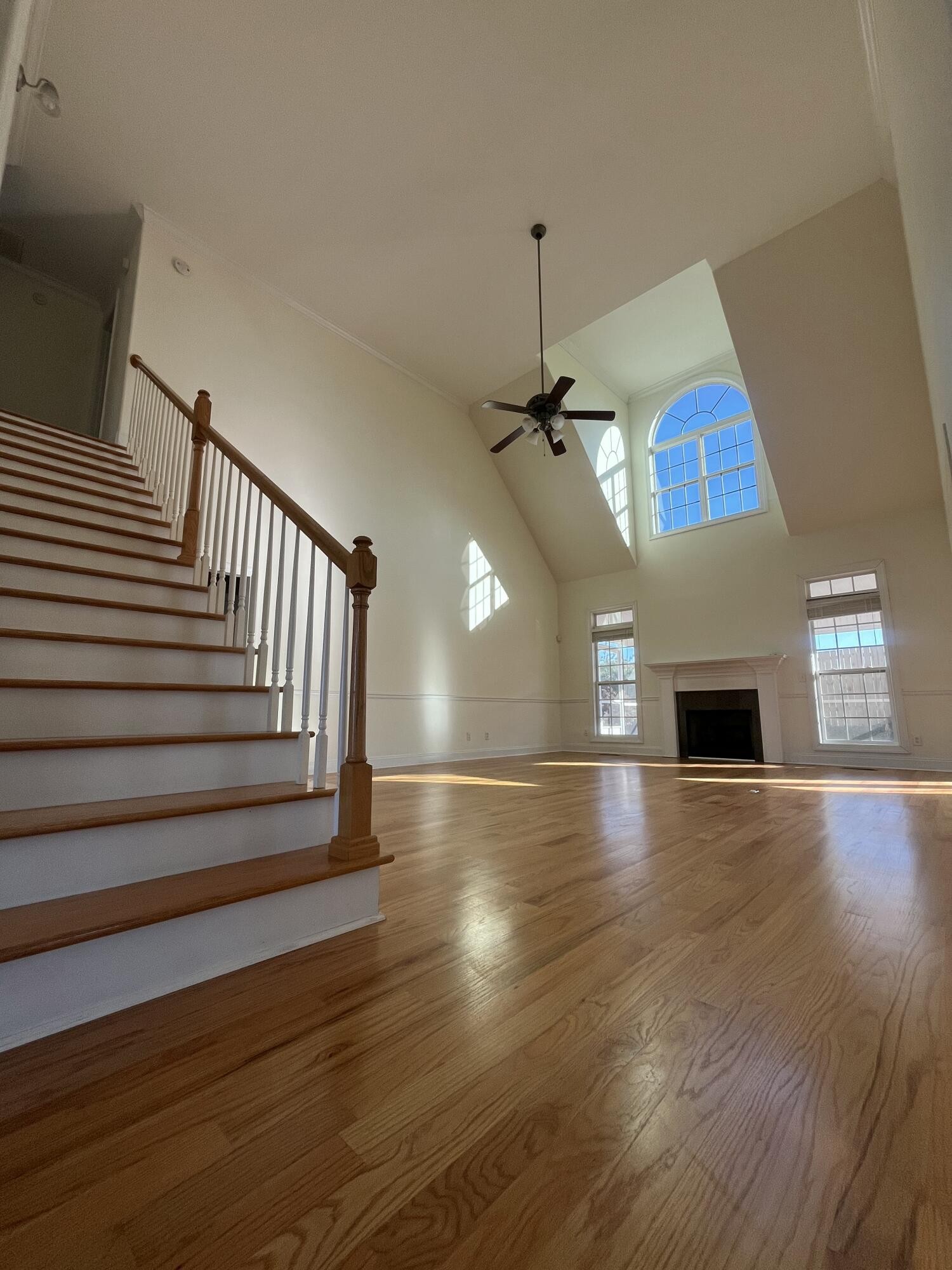 9629 Wiltshire Drive Property Photo 15