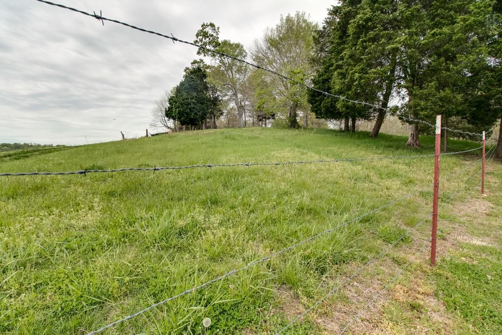 6501 Clydeton Rd Property Photo 6