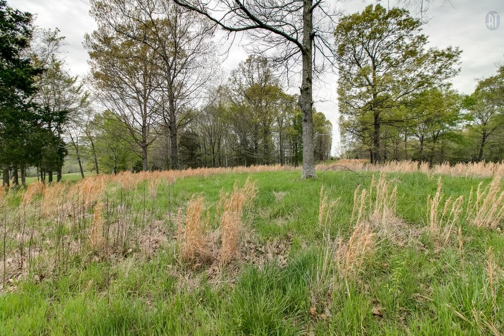 6501 Clydeton Rd Property Photo 7