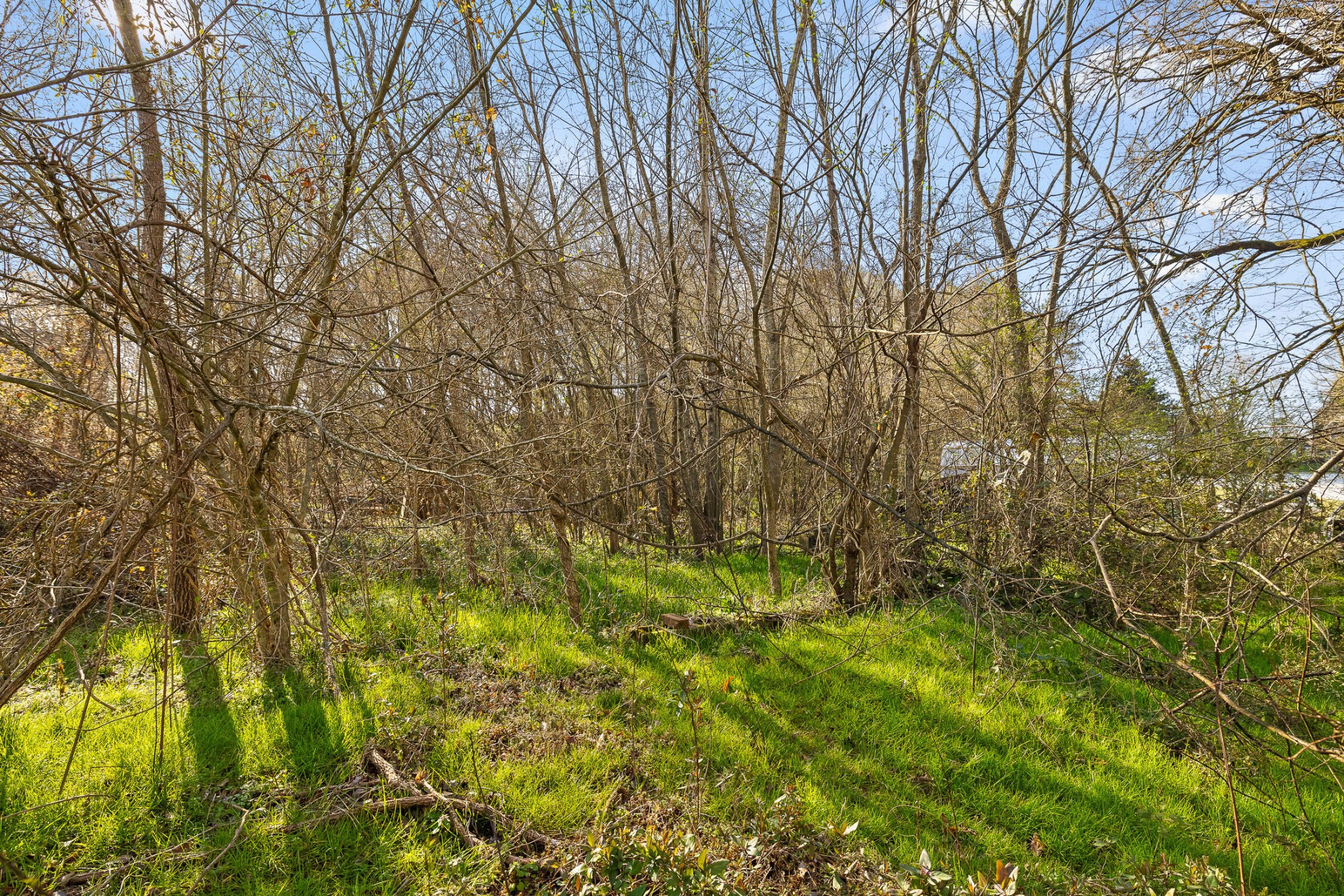 14454 Highway 28 Property Photo 18
