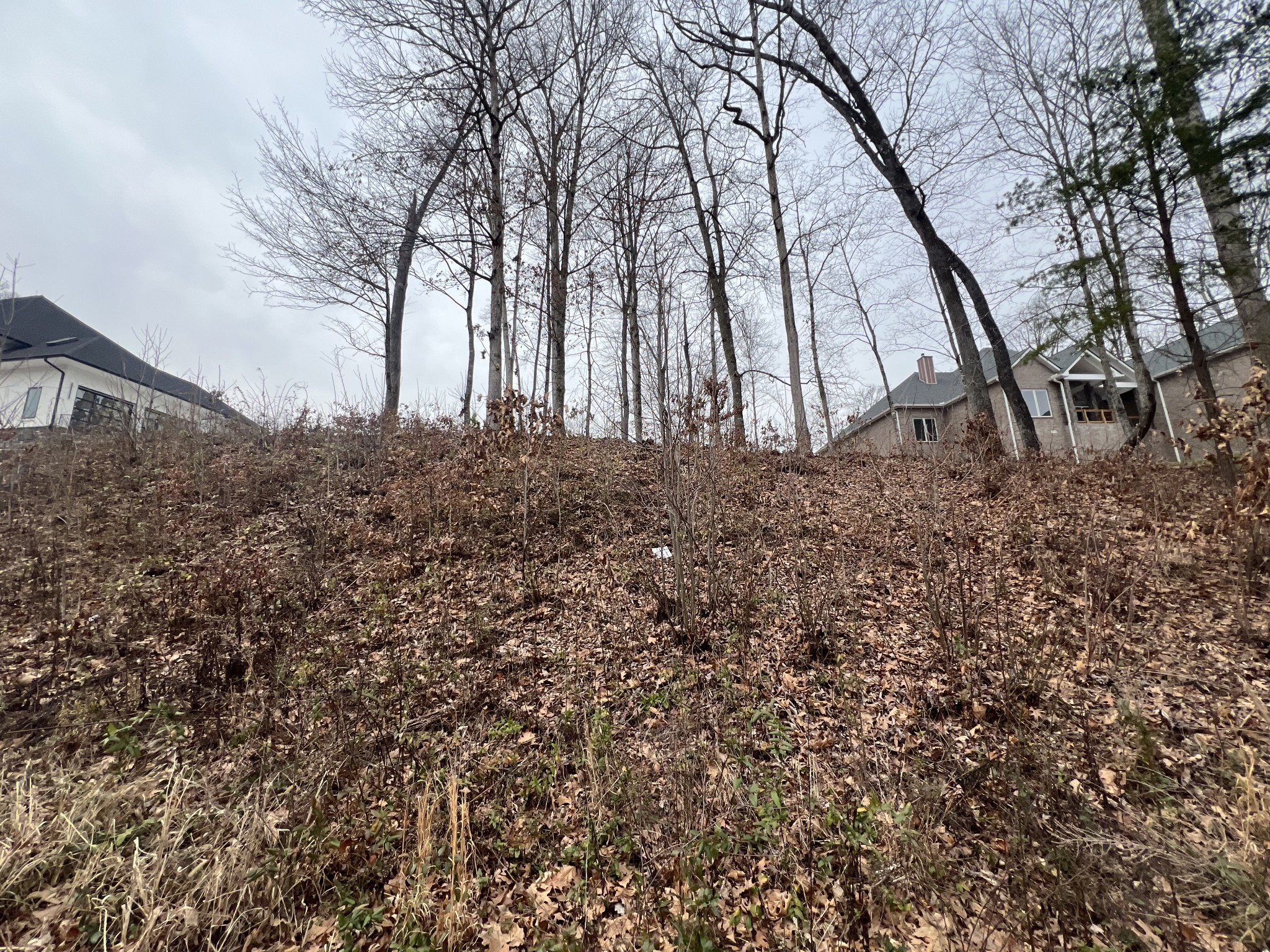 1105 Oak Chase Blvd Property Photo 1