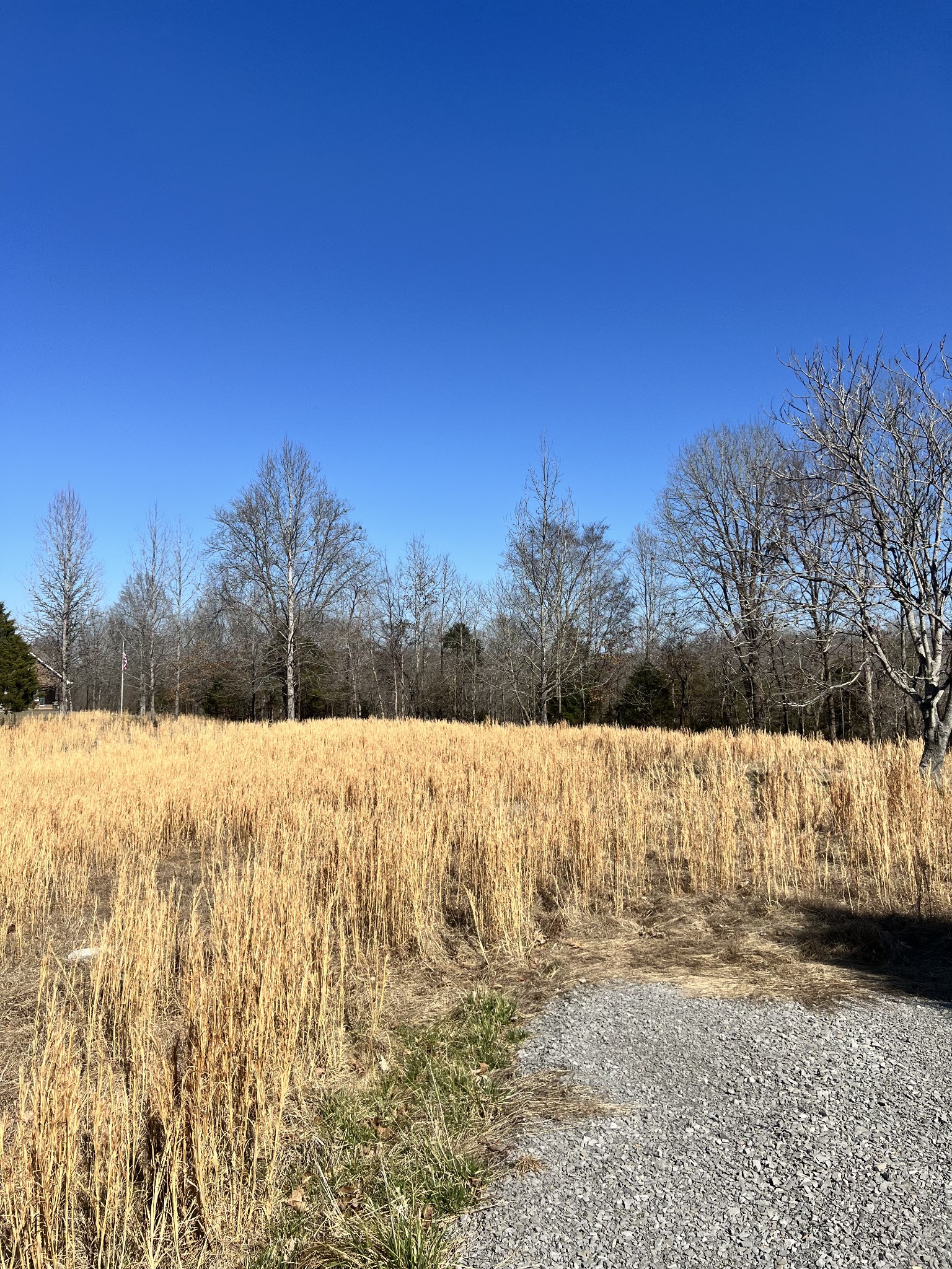 2995 Sulphur Springs Rd Property Photo 1